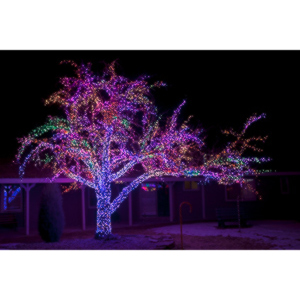 Sometimes you are driving down the street and you see something you have to photograph.  This is one of those things.