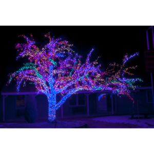 Sometimes you are driving down the street and you see something you have to photograph.  This is one of those things.