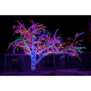 Sometimes you are driving down the street and you see something you have to photograph.  This is one of those things.