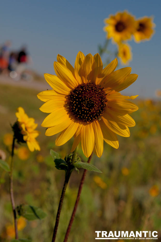 My friends and I drove up into Nebraska to Agate Fossil Beds National Park to experieince and photograph the total eclipse.  What a day!