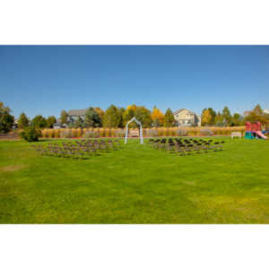 I had the honor of photographing my friend Emily's wedding to Greg Adkins.