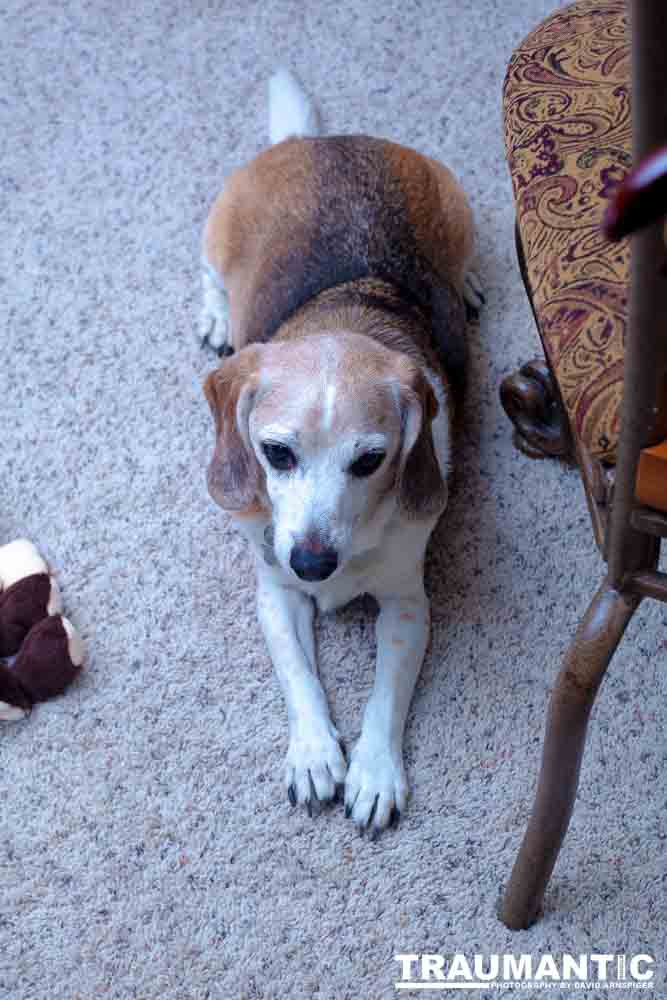I had the honor of photographing my friend Emily's wedding to Greg Adkins.