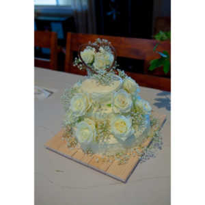 I had the honor of photographing my friend Emily's wedding to Greg Adkins.