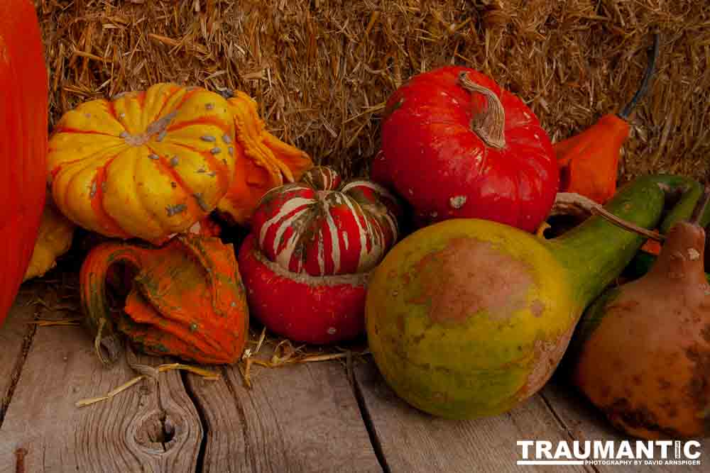 I grabbed a few random pictures around the farm on a family trip.