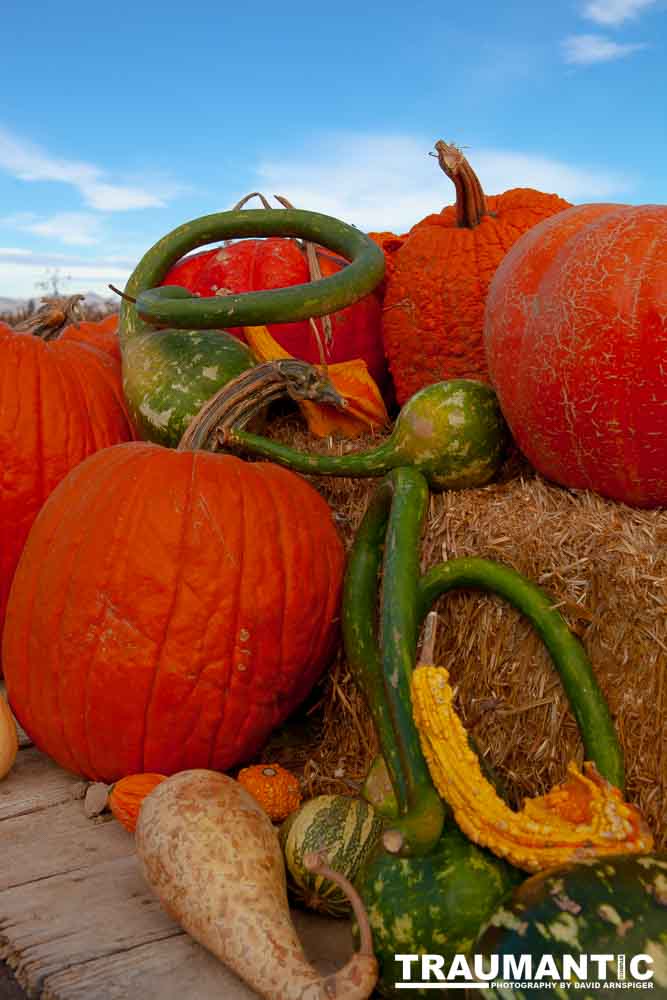 I grabbed a few random pictures around the farm on a family trip.