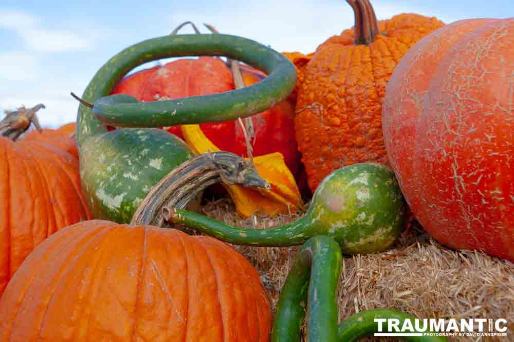 I grabbed a few random pictures around the farm on a family trip.