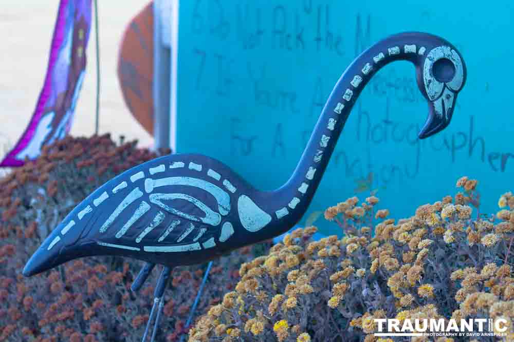 I grabbed a few random pictures around the farm on a family trip.