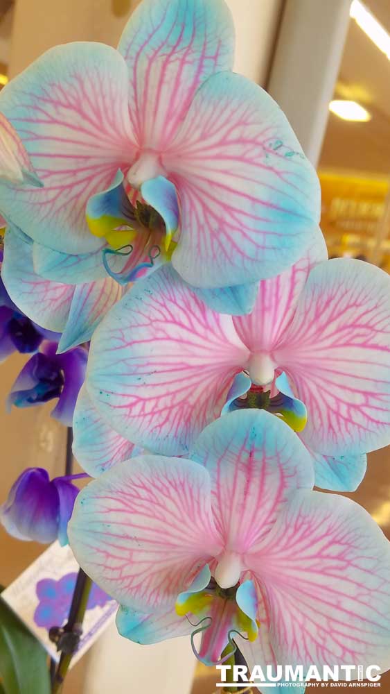 Sometimes I get bored in the market and whip out my cel phone and start taking pictures of things that interest me visually.