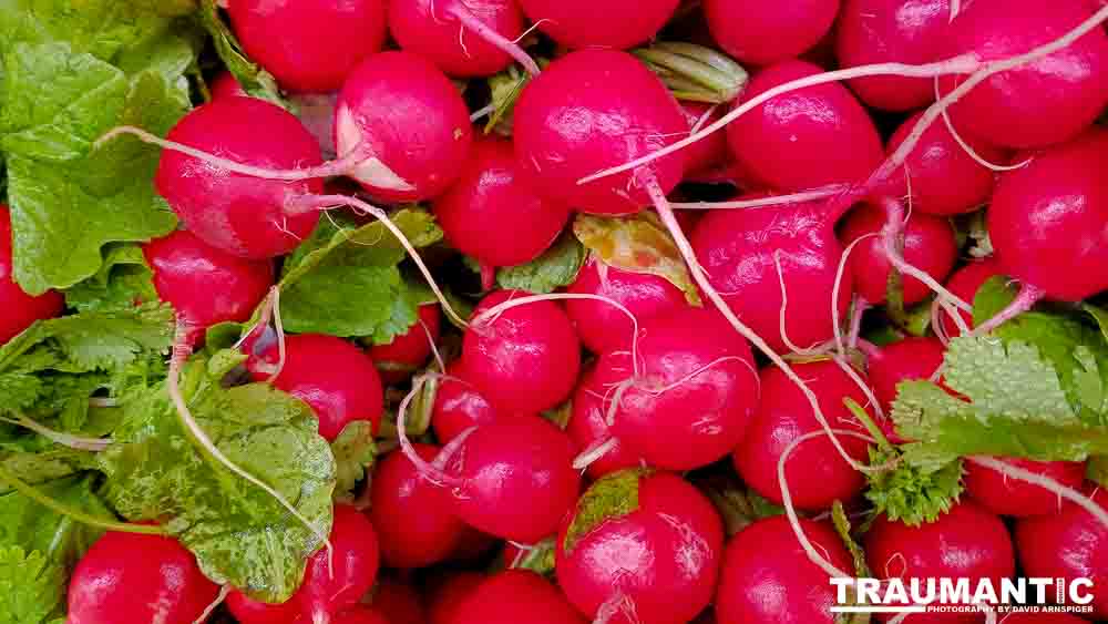 One of my many photo sessions as I wander through the supermarket with my wife.