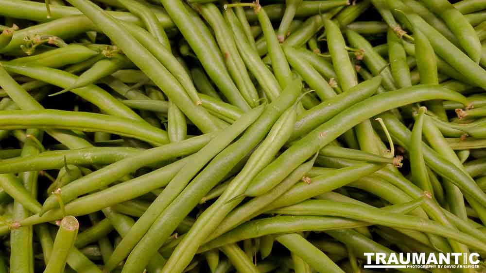One of my many photo sessions as I wander through the supermarket with my wife.
