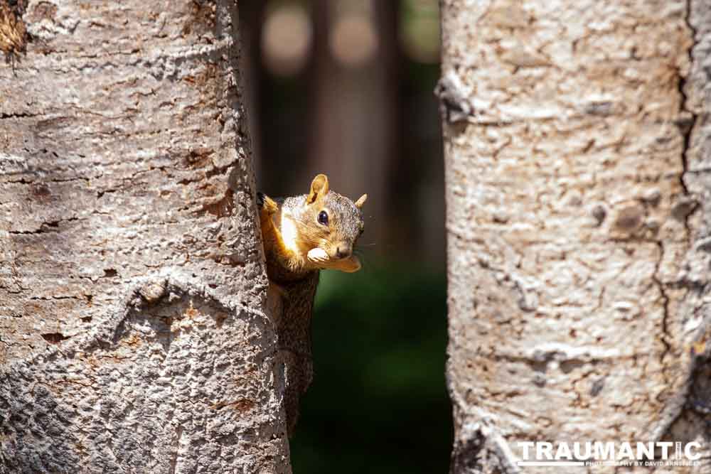 This cute little guy poked his head out when I was standing there with my camera.