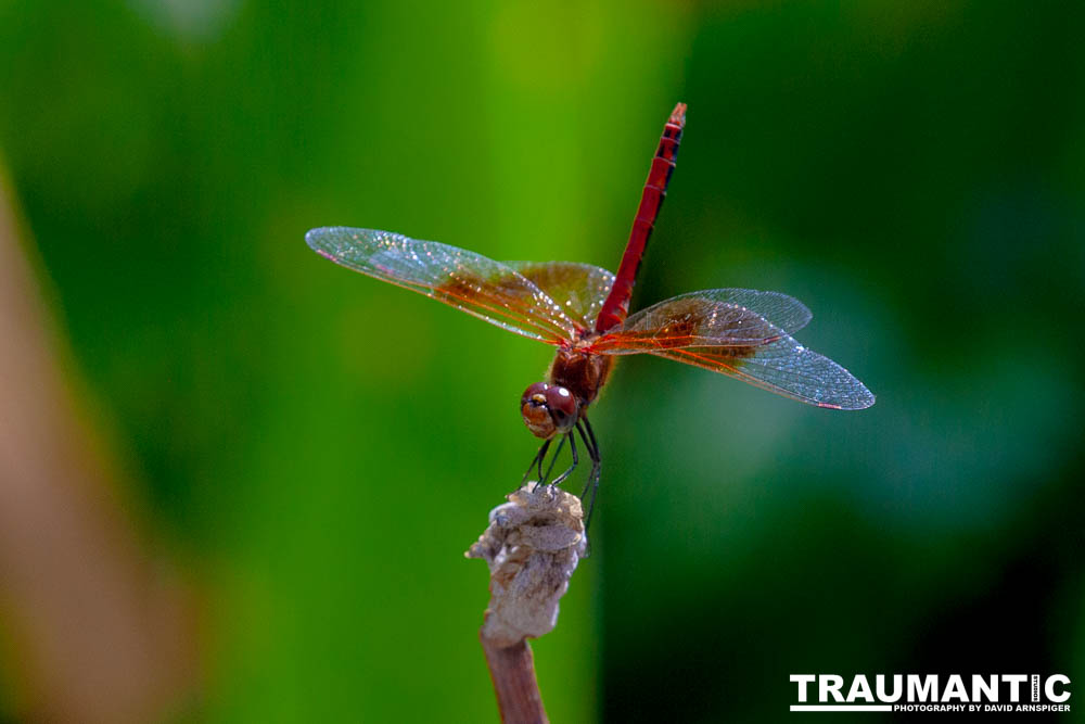 My favorite subjects.