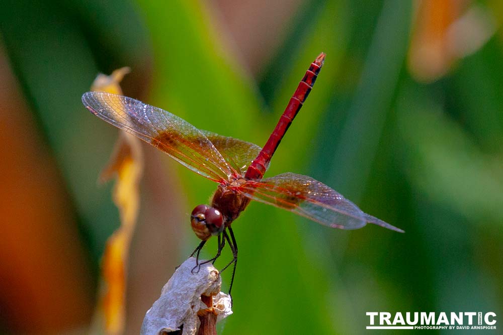 My favorite subjects.