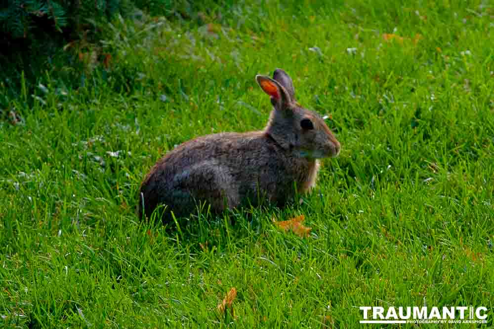 We still have a few hanging around.